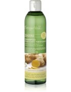 Bottega Verde Zenzero sampon pentru curatare pentru intarirea parului 250 ml