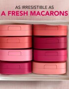 Bourjois Macaron Melt Lip & Cheek Flush blush 2 in 1 culoare 04 Pink Guava 5 g