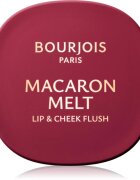 Bourjois Macaron Melt Lip & Cheek Flush blush 2 in 1 culoare 05 Berry Smoothy 5 g
