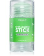 breakout + aid Spot & Blemish Stick masca faciala din caolin pentru pielea problematica 40 g