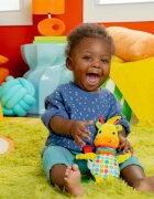 Bright Starts Pull Play & Boogie™ jucarie cu melodie 0m+ 1 buc