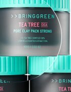 BRINGGREEN Tea Tree Cica Pore Clay Pack Strong masca sub forma de crema pentru tenul gras predispus la acnee 100 g