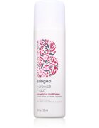 Briogeo Farewell Frizz balsam pentru netezire 236 ml
