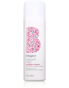 Briogeo Farewell Frizz sampon pentru indreptarea parului 236 ml
