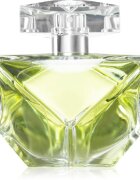 Britney Spears Believe Eau de Parfum pentru femei 100 ml