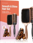 BrushArt Hair Smooth & Shine Hair Set set cadou pentru păr