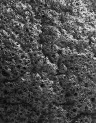BrushArt Home Salon Konjac sponge burete exfoliant blând faciale Charcoal 5 g