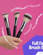 BrushArt Professional Full Face brush set with makeup pouch set de pensule cu geantă Black