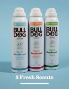 Bulldog Fresh Mint&Cedarwood Spray Deodorant Deodorant Spray fara continut de aluminiu 125 ml