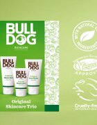 Bulldog Original Skincare Trio set cadou pentru barbă