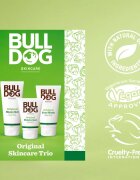 Bulldog Original Skincare Trio set cadou pentru barbati