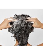 Bumble and Bumble Seaweed Shampoo sampon pentru par cret cu extract de alge marine 250 ml