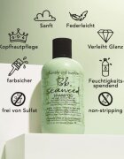 Bumble and Bumble Seaweed Shampoo sampon pentru par cret cu extract de alge marine 250 ml