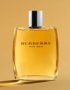 Burberry for Men Eau de Toilette pentru bărbați 100 ml