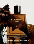 Burberry Hero Eau de Parfum Eau de Parfum pentru bărbați 50 ml