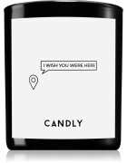 Candly & Co. I wish you were here lumânare parfumată 250 g