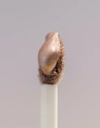 Catrice DESERT DUNE farduri de ochi lichide cu sclipici culoare C02 Endless Sands 4 ml