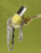 Catrice MY JEWELS. MY RULES. lac de unghii culoare C01 Bold Gold 105 ml