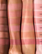 Catrice Soft Blur Powder Brush fard de obraz sub forma de pudra cu efect matifiant culoare 050 Born to blonze 5 g