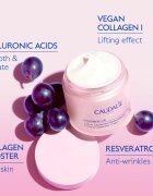 Caudalie Resveratrol-Lift cremă iluminatoare cu efect lifting pentru fermitatea pielii 50 ml