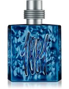 Cerruti 1881 Silver Night Eau de Parfum pentru bărbați 100 ml