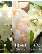 Chanson d'Eau Original Jasmine Eau de Toilette pentru femei 100 ml