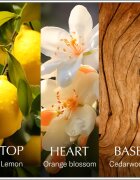 Chanson d'Eau Original Lemon Eau de Toilette pentru femei 100 ml