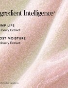 Chantecaille Brilliant Lip Gloss lip gloss hidratant Pretty 3 ml