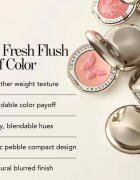 Chantecaille Cheek Shades blush Butterfly Bliss 2.5 g