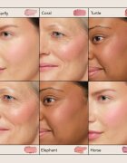 Chantecaille Cheek Shades blush Horse Joy 2.5 g