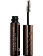 Chantecaille Full Brow Perfecting Gel Brow + Tint gel fixare pentru sprâncene Dark Tint 5.5 ml