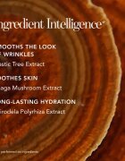 Chantecaille Future Skin Gel Foundation make up hidratant cu efect iluminator Aura 30 g