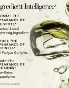 Chantecaille Le Camouflage Stylo corector pentru o piele mai luminoasă tip cariocă 4W 1.8 ml