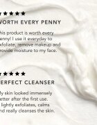 Chantecaille Rice and Geranium Foaming Cleanser demachiant delicat cu efect de hidratare 70 g