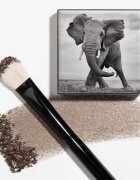 Chantecaille Shade and Sweep Eye Brush perie plata pentru aplicarea fardului 1 buc