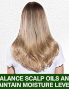 CHI Tea Tree Oil Shampoo șampon pentru par si scalp gras 340 ml