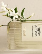 Chloé Atelier des Fleurs Jasminum Sambac Eau de Parfum pentru femei 50 ml