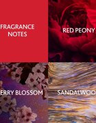 Christina Aguilera Cherry Noir Eau de Parfum pentru femei 15 ml