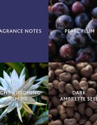 Christina Aguilera Moonlight Bloom Eau de Parfum pentru femei 15 ml
