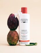 Christophe Robin Regenerating Shampoo with Prickly Pear Oil Sampon de restaurare in profunzime pentru par degradat sau tratat chimic 250 ml
