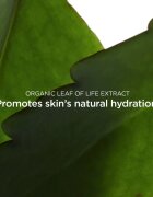 Clarins Fresh Scrub Refreshing Cream Scrub crema exfolianta pentru nutriția tenului și menținerea hidratării naturale a acestuia 50 ml
