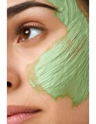 Collistar Attivi Puri Salicylic Acid + Zinc Clay Mask mască cu argilă cu acid hialuronic 75 ml