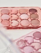 Colorgram Pin Point Eyeshadow Palette paletă cu farduri de ochi pentru look perfect culoare 01 Peach+Coral 9.9 g