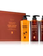 DAENG GI MEO RI Honey Therapy Professional Hair Care Set set cadou nutritie si hidratare