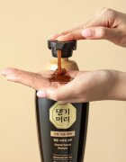 DAENG GI MEO RI Oriental Special Shampoo sampon hranitor impotriva caderii parului 500 ml
