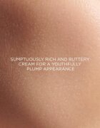 Darphin Prédermine Anti-Wrinkle Rich Cream crema anti-rid hidratanta pentru ten uscat și combinat crema anti-rid hidratanta pentru ten uscat și foarte