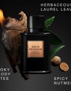 David Beckham Bold Instinct Eau de Parfum pentru bărbați 75 ml