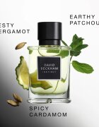 David Beckham Instinct Eau de Parfum pentru bărbați 50 ml
