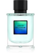 David Beckham True Instinct Eau de Parfum pentru bărbați 75 ml