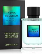 David Beckham True Instinct Eau de Parfum pentru bărbați 75 ml